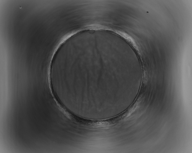 X0000094811231200712071219