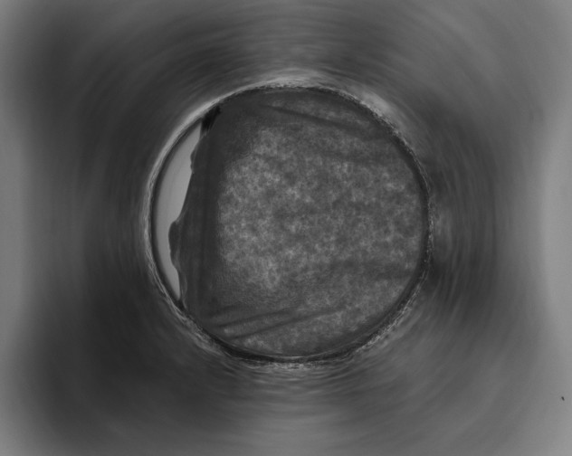 X0000094811232200712071219