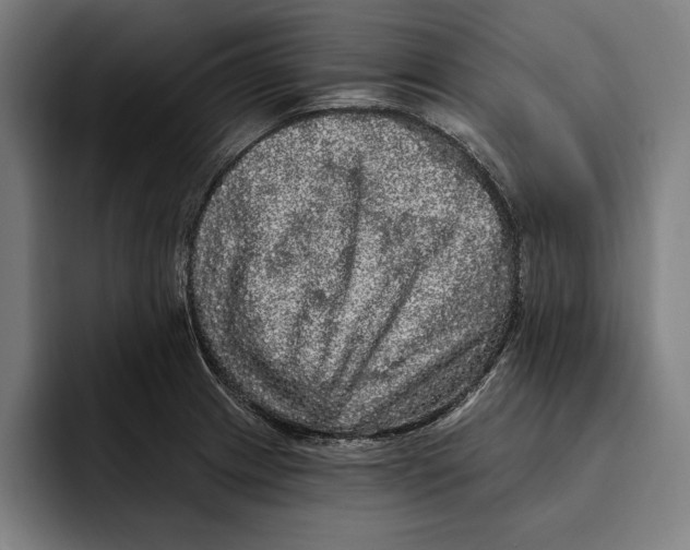 X0000094811233200712071219