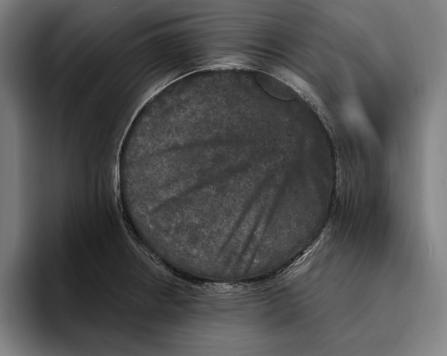 X0000094811234200712071219