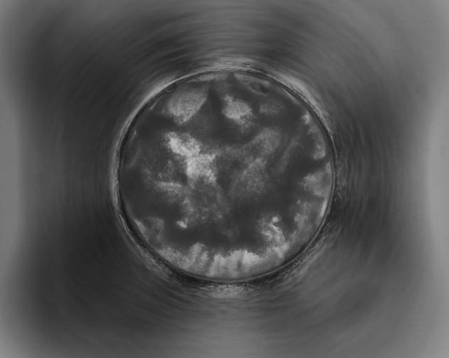 X0000094811235200712071219