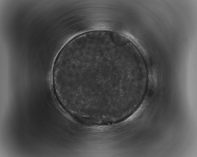 X0000094811236200712071219