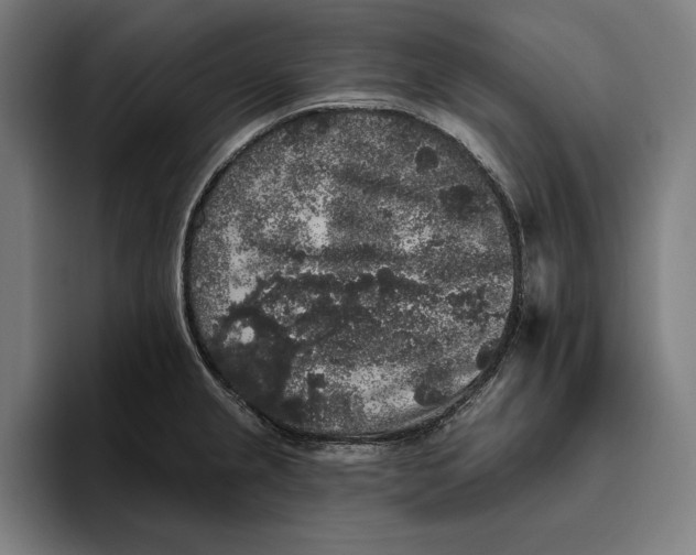 X0000094811237200712071219