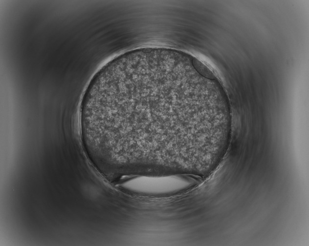 X0000094811238200712071219