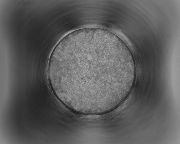 X0000094811244200712071219