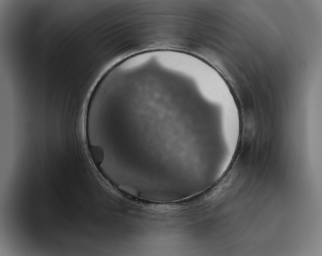 X0000094811246200712071219