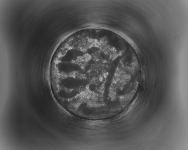 X0000094811247200712071219