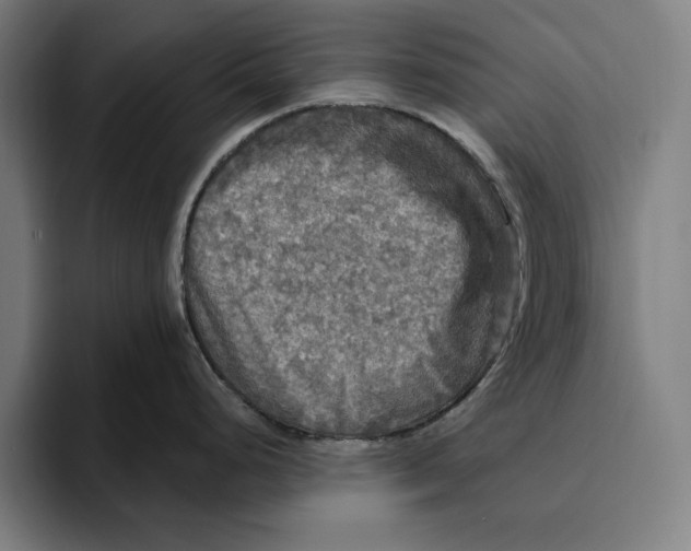 X0000094811248200712071219