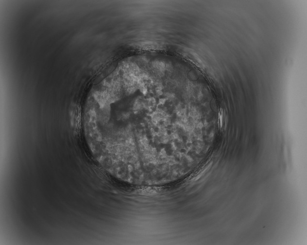 X0000094811251200712071218