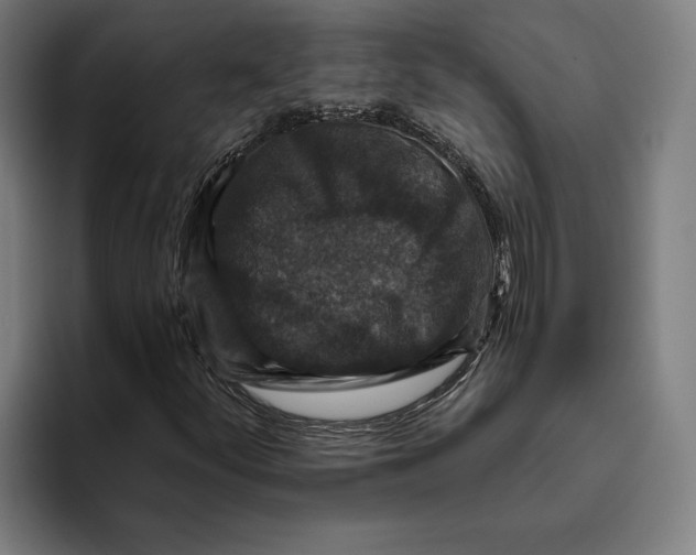 X0000094811252200712071218