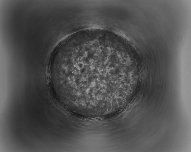 X0000094811255200712071218