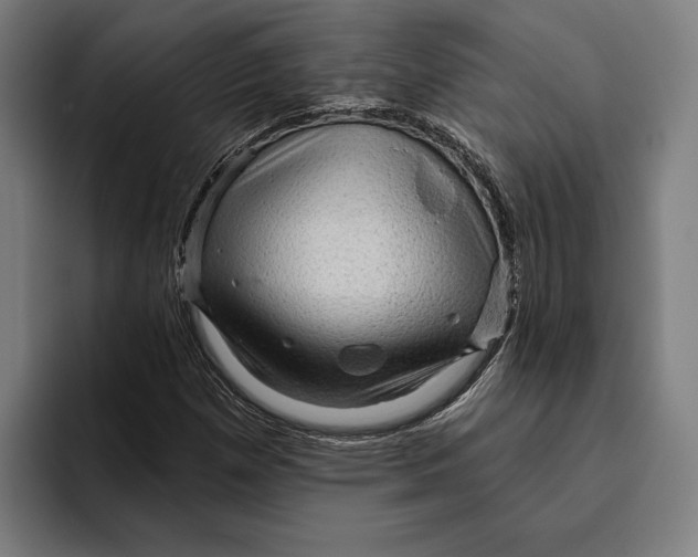 X0000094811257200712071218