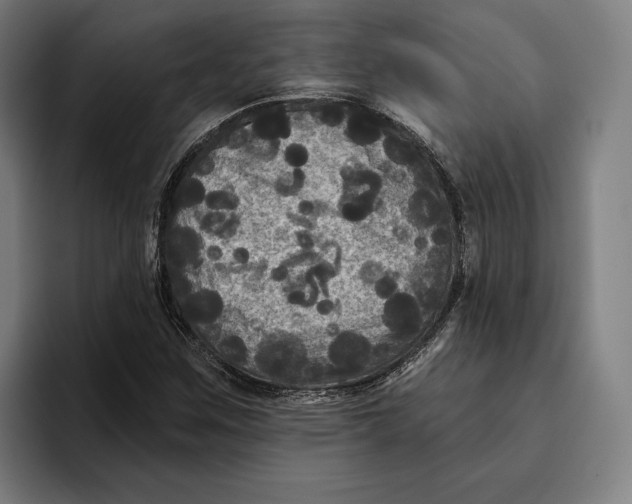 X0000094811259200712071218