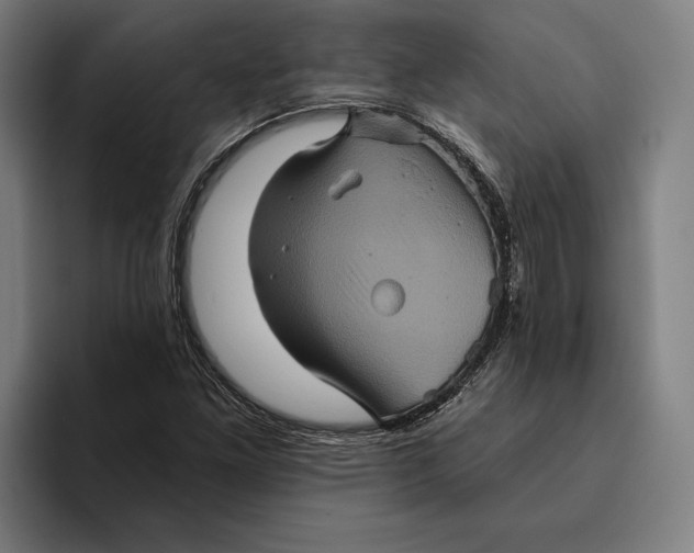 X0000094811261200712071218