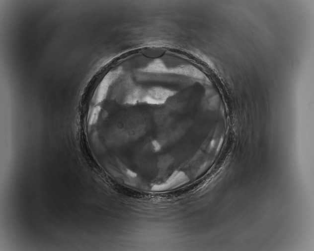 X0000094811263200712071218