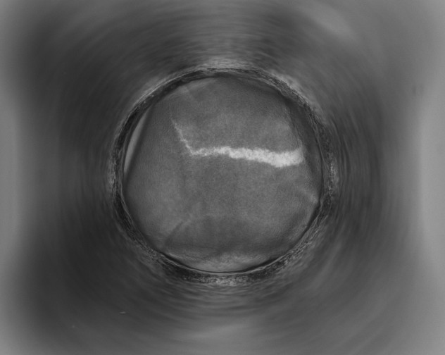 X0000094811266200712071218