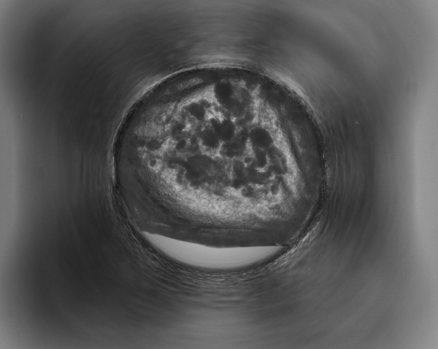 X0000094811267200712071218