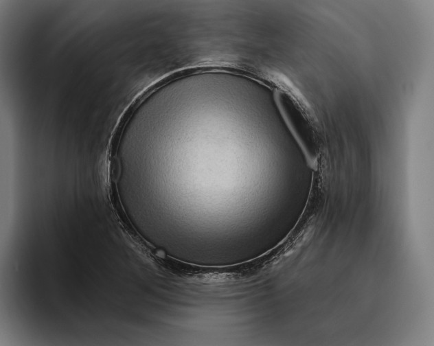 X0000094811268200712071218