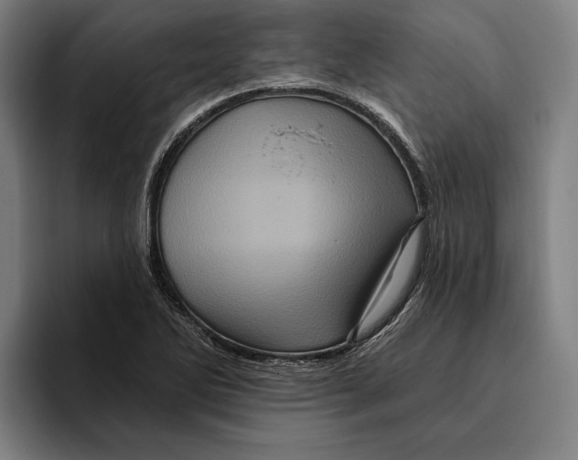 X0000094811270200712071218