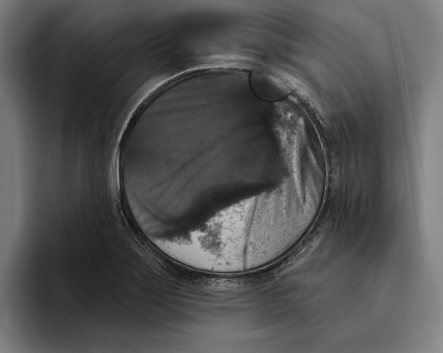 X0000094811275200712071218