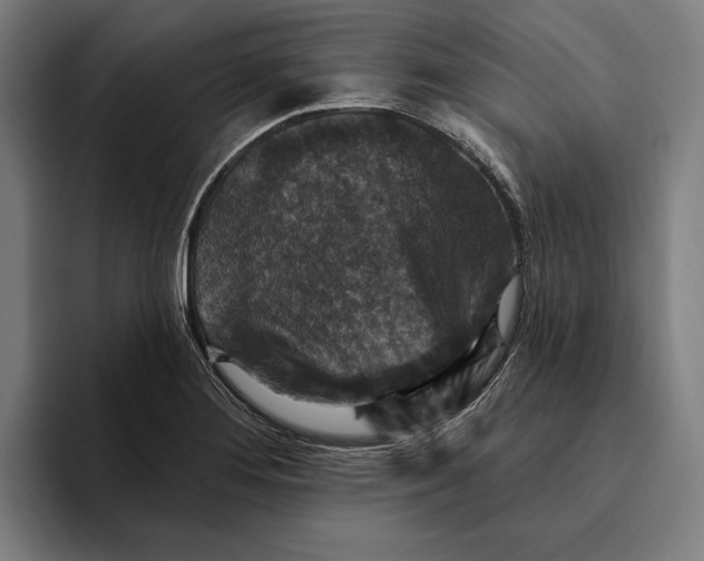 X0000094811276200712071218