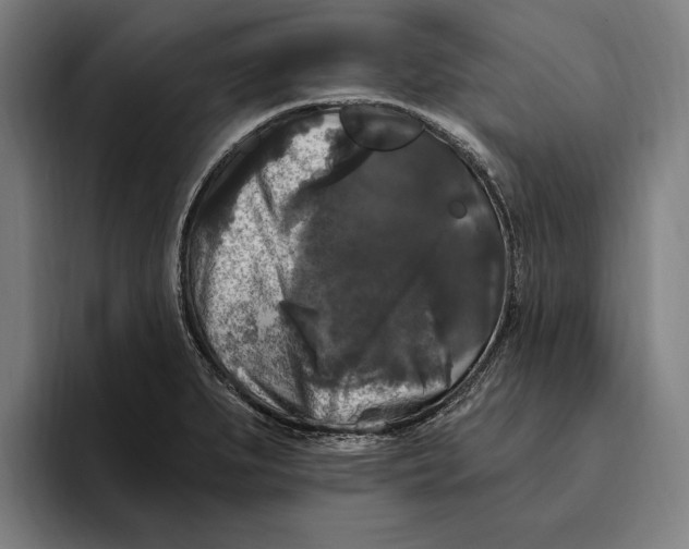 X0000094811279200712071218