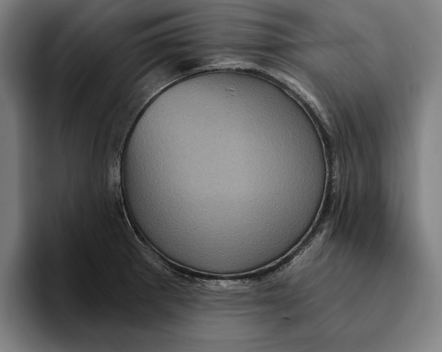 X0000094811281200712071218