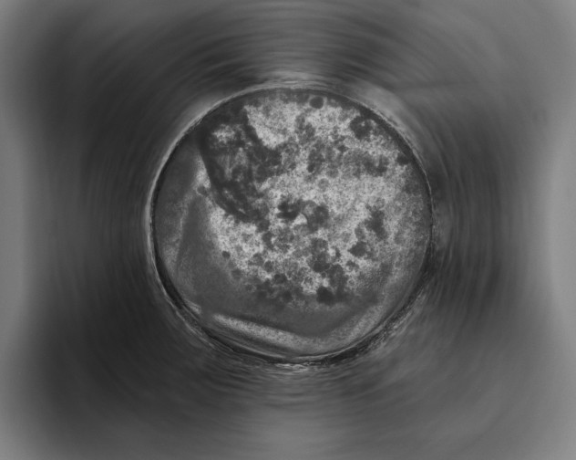 X0000094811283200712071218