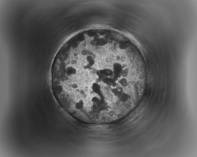 X0000094811287200712071218