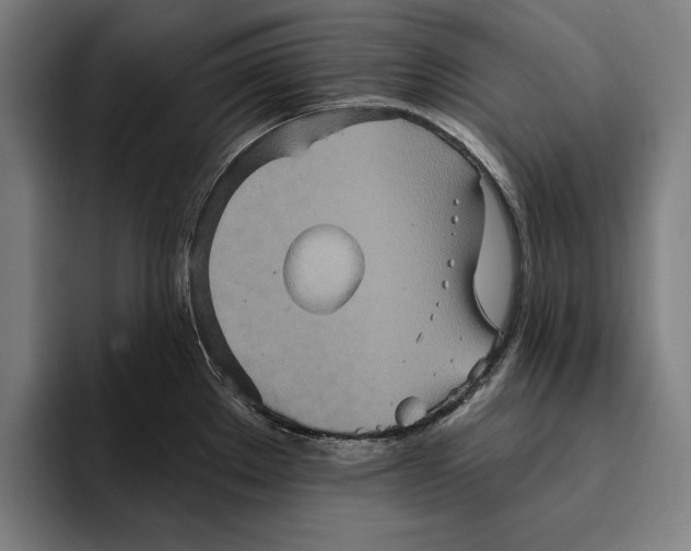 X0000094811289200712071218