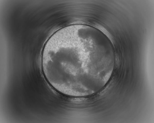 X0000094811290200712071218