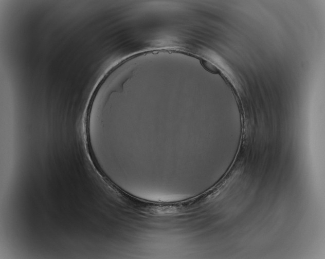 X0000094811291200712071218