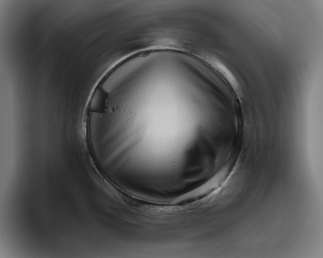 X0000094811292200712071218