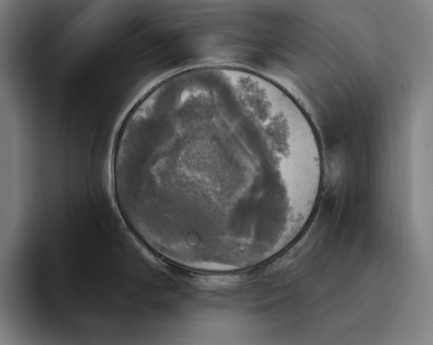 X0000094811294200712071218