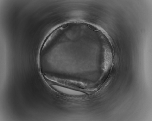 X0000094811295200712071218