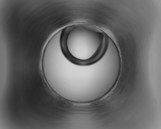 X0000094811296200712071218