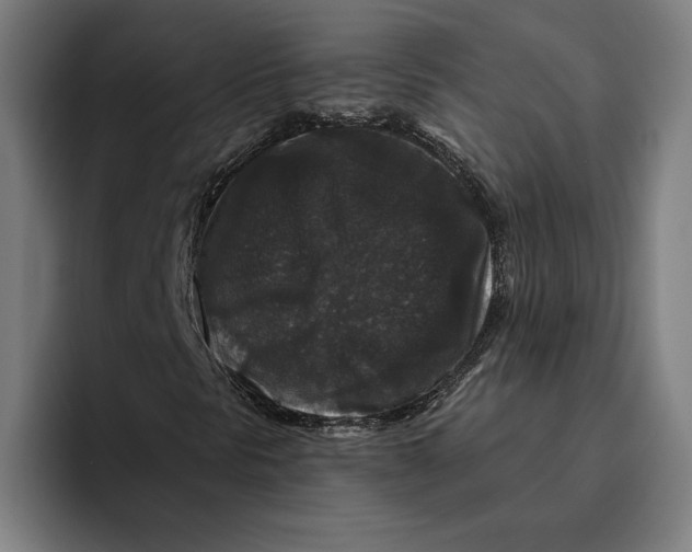 X0000094811297200712071217