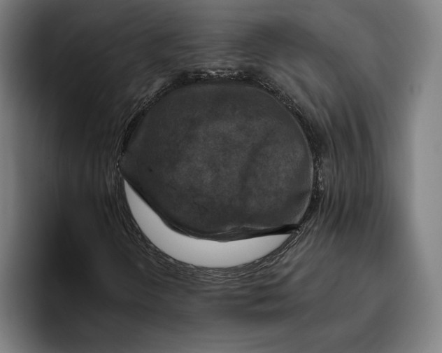 X0000094811298200712071217