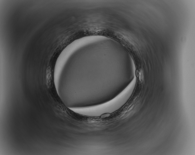 X0000094811299200712071217