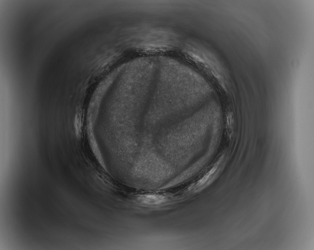 X0000094811300200712071217