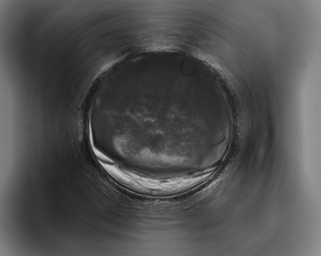 X0000094811306200712071217