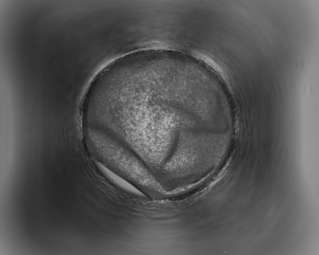 X0000094811310200712071217