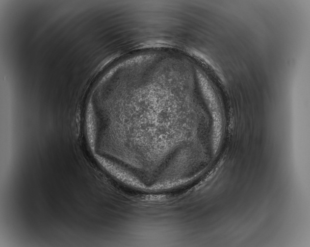 X0000094811313200712071217