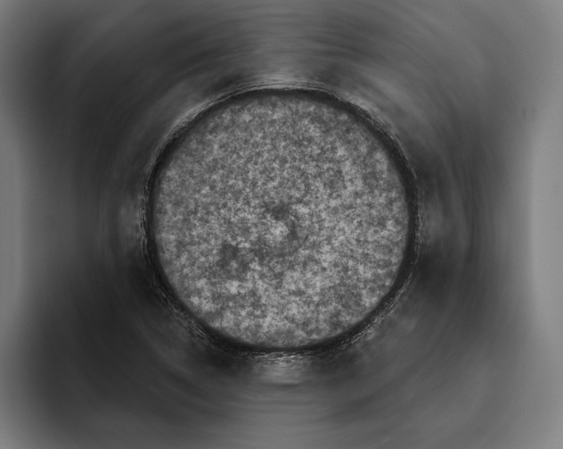 X0000094811314200712071217