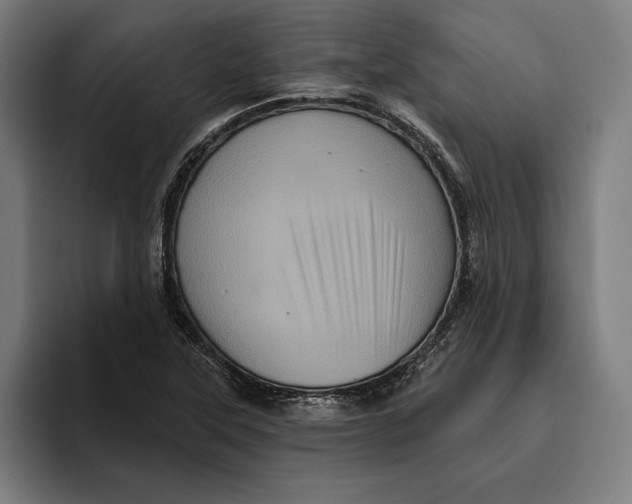 X0000094811315200712071217