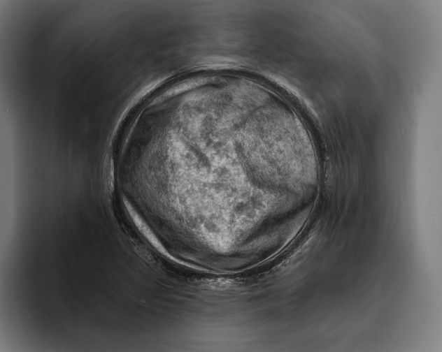 X0000094811317200712071217