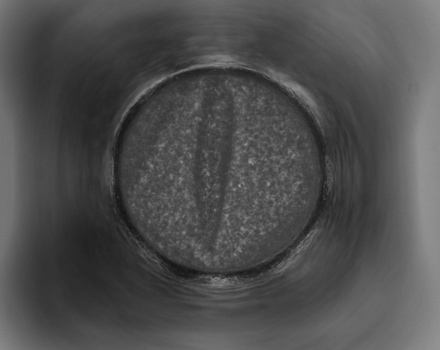 X0000094811318200712071217