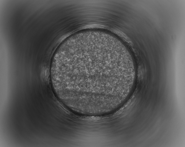 X0000094811321200712071217