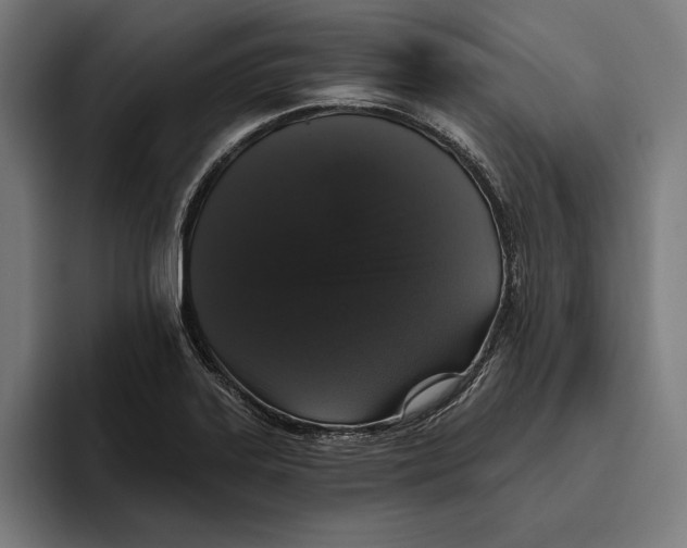 X0000094811323200712071217