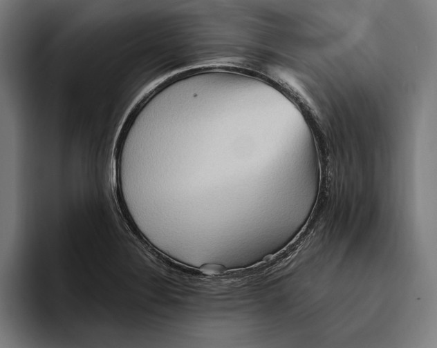 X0000094811324200712071217